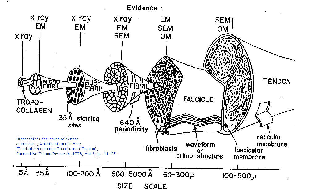 hierarchical structure sketch