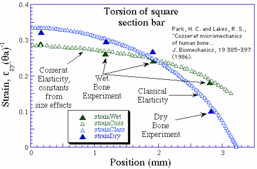 distribution of strain measured in the torsion of a prismatic specimen of bone bone strain