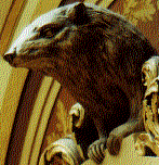 badger2