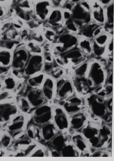 normal foam image