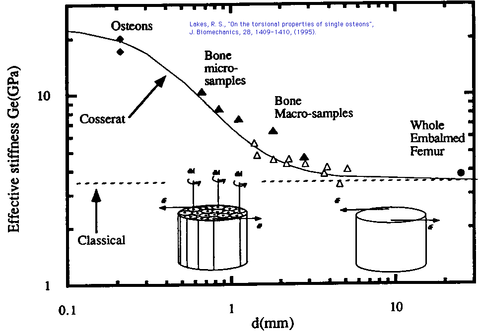 bone size effect plot